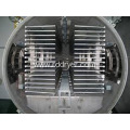 Cranberries Freeze drying equipment